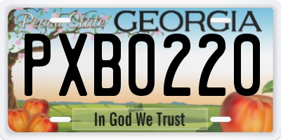 GA license plate PXB0220