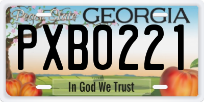 GA license plate PXB0221