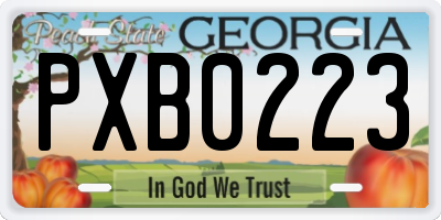 GA license plate PXB0223