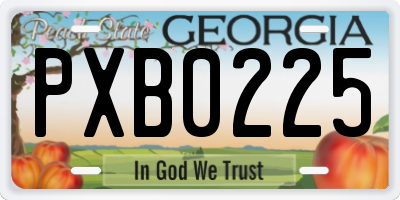 GA license plate PXB0225