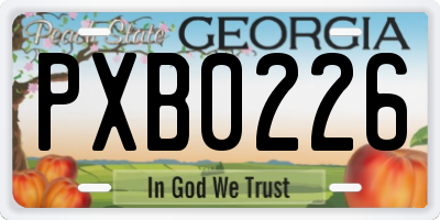 GA license plate PXB0226