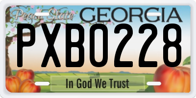 GA license plate PXB0228