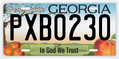 GA license plate PXB0230