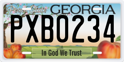 GA license plate PXB0234