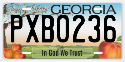 GA license plate PXB0236