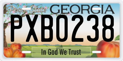 GA license plate PXB0238