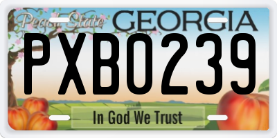 GA license plate PXB0239