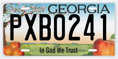 GA license plate PXB0241