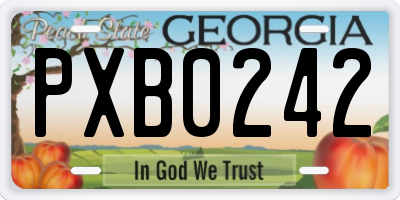 GA license plate PXB0242