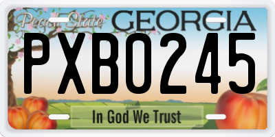 GA license plate PXB0245