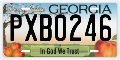 GA license plate PXB0246