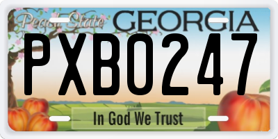 GA license plate PXB0247