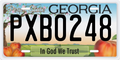 GA license plate PXB0248