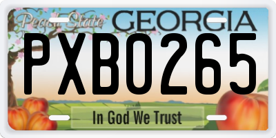GA license plate PXB0265