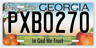 GA license plate PXB0270