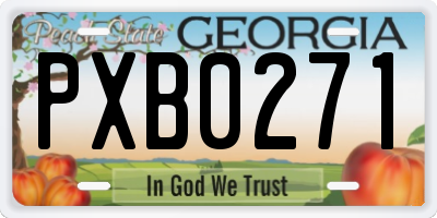 GA license plate PXB0271