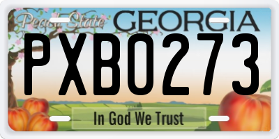 GA license plate PXB0273