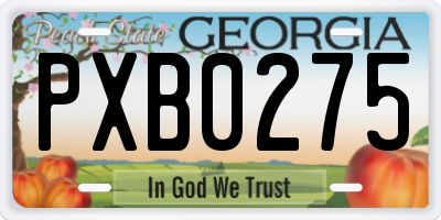 GA license plate PXB0275