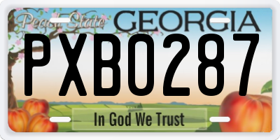 GA license plate PXB0287