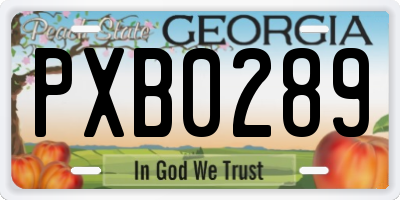 GA license plate PXB0289