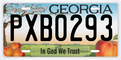GA license plate PXB0293