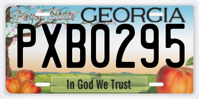 GA license plate PXB0295