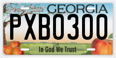 GA license plate PXB0300