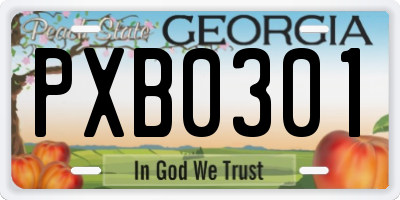 GA license plate PXB0301