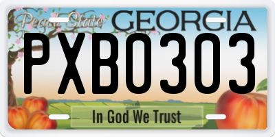 GA license plate PXB0303