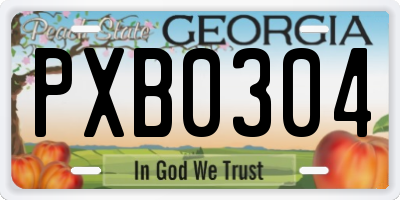 GA license plate PXB0304
