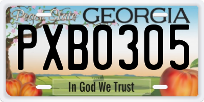 GA license plate PXB0305