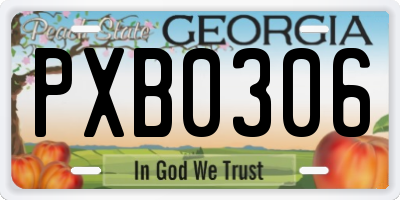 GA license plate PXB0306