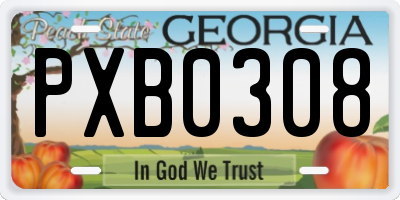 GA license plate PXB0308