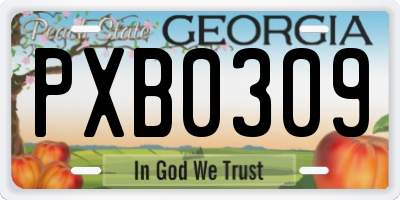 GA license plate PXB0309