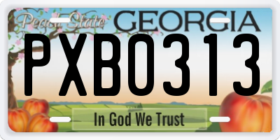 GA license plate PXB0313