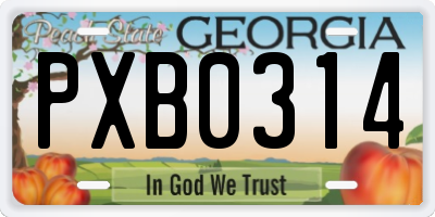 GA license plate PXB0314