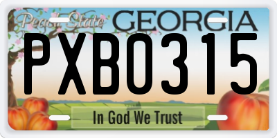 GA license plate PXB0315