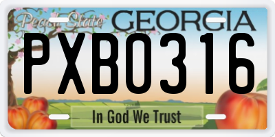 GA license plate PXB0316