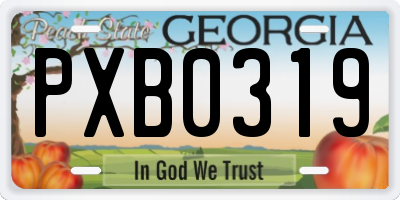 GA license plate PXB0319