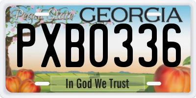 GA license plate PXB0336