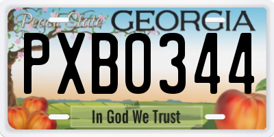 GA license plate PXB0344