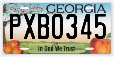 GA license plate PXB0345