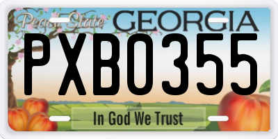 GA license plate PXB0355
