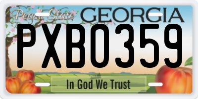 GA license plate PXB0359