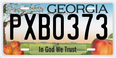 GA license plate PXB0373