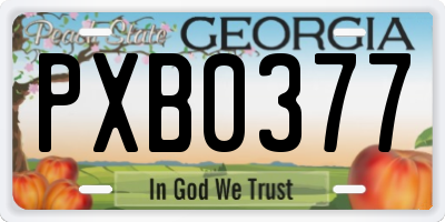 GA license plate PXB0377