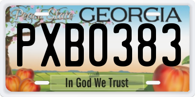 GA license plate PXB0383