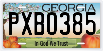 GA license plate PXB0385