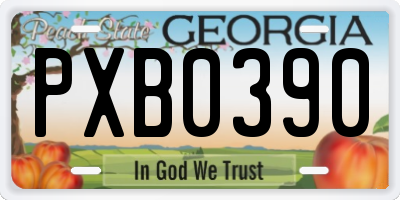 GA license plate PXB0390