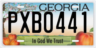 GA license plate PXB0441